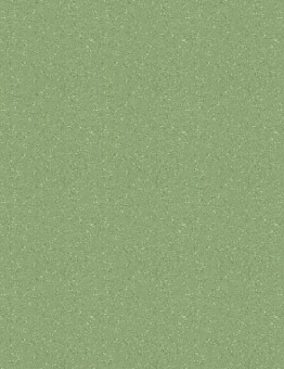 Линолеум Tempo Plus