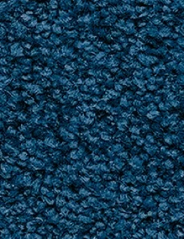 Синий ковролин Les First