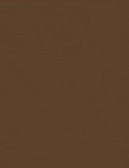 Завершающий профиль для линолеума EL 3.5