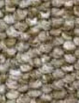 Бежевый ковролин Stratos