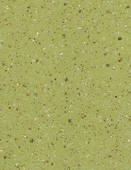 Линолеум Emerald Standart new под ключ