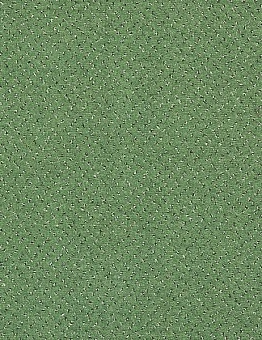 Ковролин Fortesse