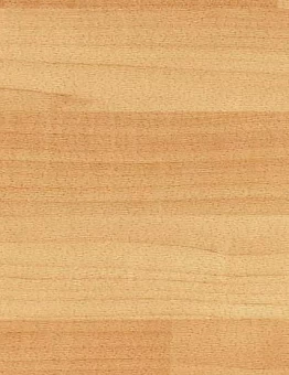 Линолеум Recreation 60 Wood