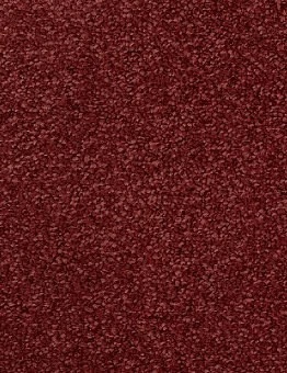 Ковролин Inova Twin