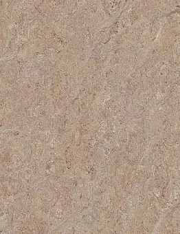 Marmoleum Terra 2,50