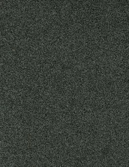 Ковролин Gleam W2W