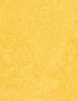 Линолеум Marmoleum Fresco 2,50