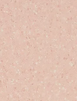 Линолеум Sphera Element