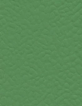 Линолеум Recreation 30