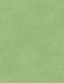 Линолеум Acczent Pro