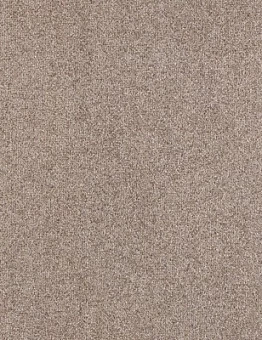 Бежевый ковролин Solaris