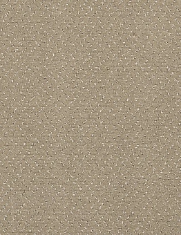 Бежевый ковролин Fortesse
