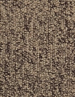 Ковровая плитка Millennium100