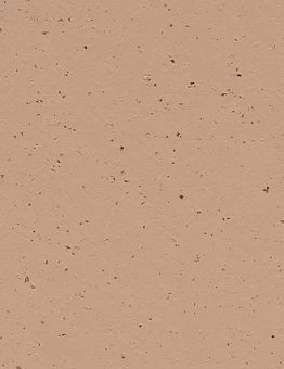 Линолеум Marmoleum Cocoa 2,50