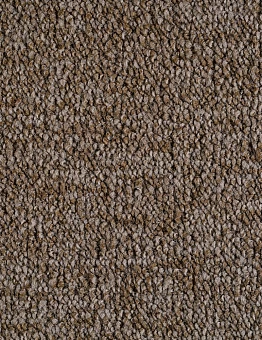 Бежевый ковролин Trotter