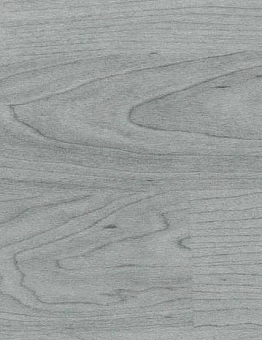 Линолеум Taraflex Multiuse 6.2 Wood