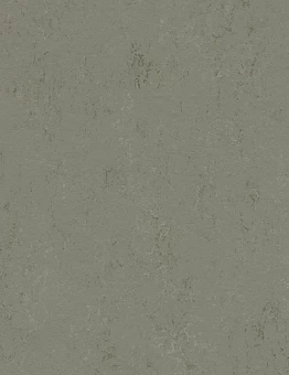 Линолеум Marmoleum Concrete 2,50