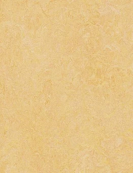 Marmoleum Authentic 2,50