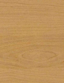 Линолеум Taraflex Multiuse 6.2 Wood