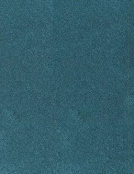 Ковролин Asteranne