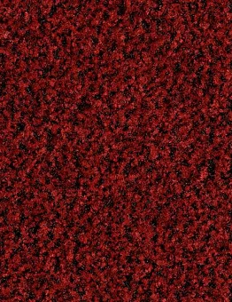 Ковролин Coral Brush