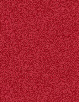 Ковролин Арена