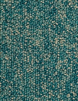 Ковровая плитка Millennium100