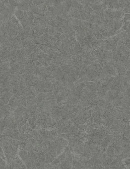 Линолеум Acoustic 7 Silver Knight