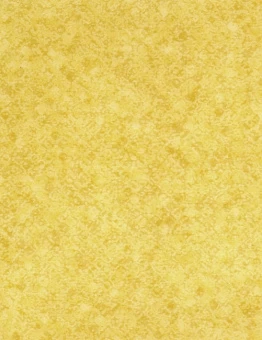 Линолеум DIAMOND STANDART EVOLUTION