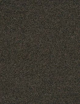 Ковровая плитка Polichrome Stipple