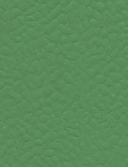 Линолеум Recreation 60 Uni