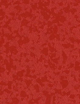 Линолеум Taralay Premium Compact