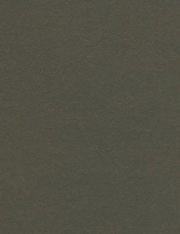 Линолеум Marmoleum Walton 2,50