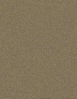 Ковровая плитка Equal Measure 551