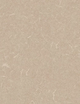 Линолеум Acoustic 7 Silver Knight