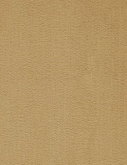 Ковролин President