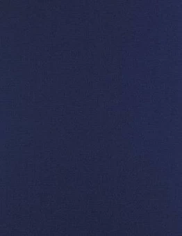 Синий ковролин Résidentiel DD