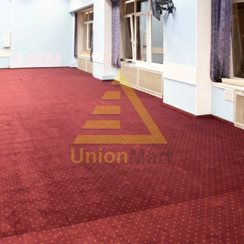 Институт Герцена