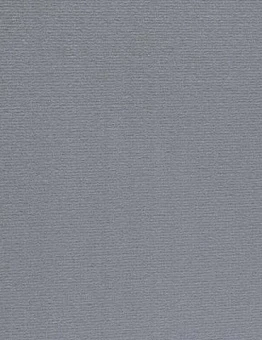 Серый ковролин Altona