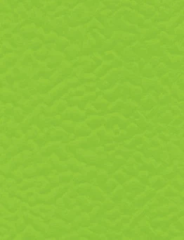 Линолеум Taraflex Surface Uni