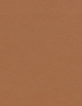 Линолеум Marmoleum Walton 2,50