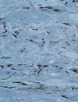 Линолеум Royal Conductive LG2