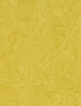 Линолеум Marmoleum Sport 4,0мм.