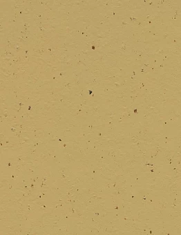 Линолеум Marmoleum Cocoa 2,50