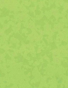 Линолеум Taralay Premium Comfort