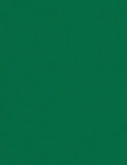 Линолеум Omnisports Action 65