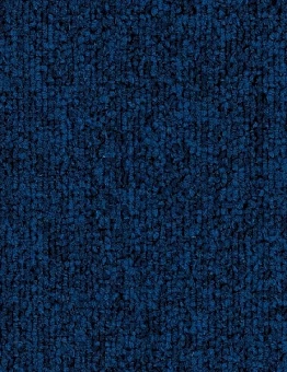 Ковровая плитка Dallas Camera