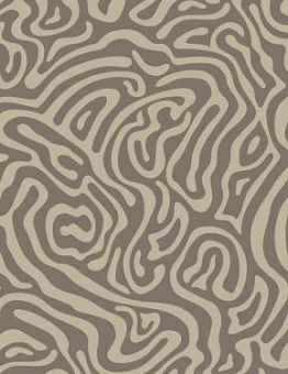 Ковролин Lazio