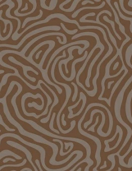 Ковролин Lazio