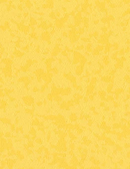 Линолеум Taralay Premium Compact